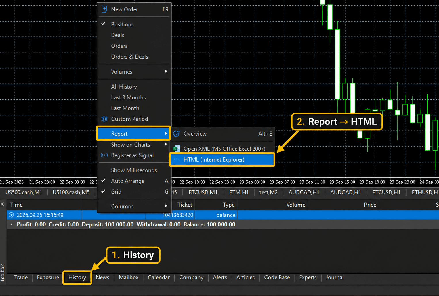 MetaTrader 5 with History and Report to HTML highlighted